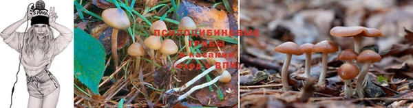 бутират Аркадак