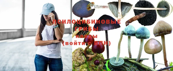 бутират Аркадак