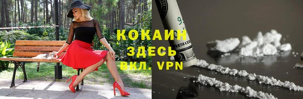прущие крисы Арсеньев