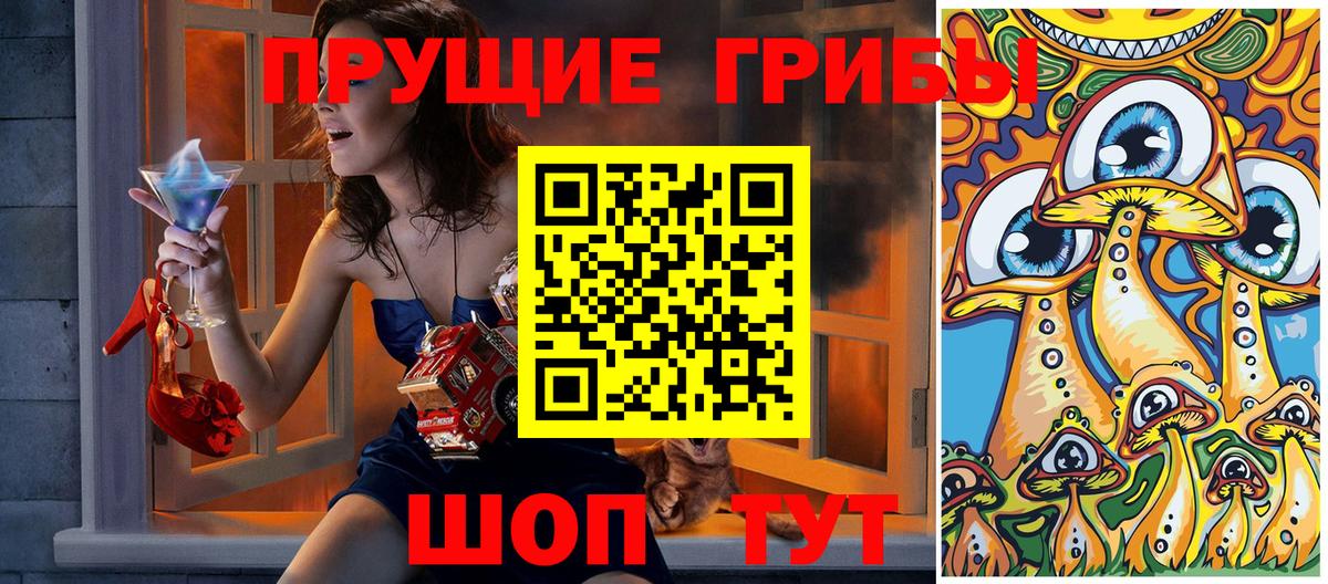 Псилоцибиновые грибы Psilocybe  Вход с VPN  Полевской 